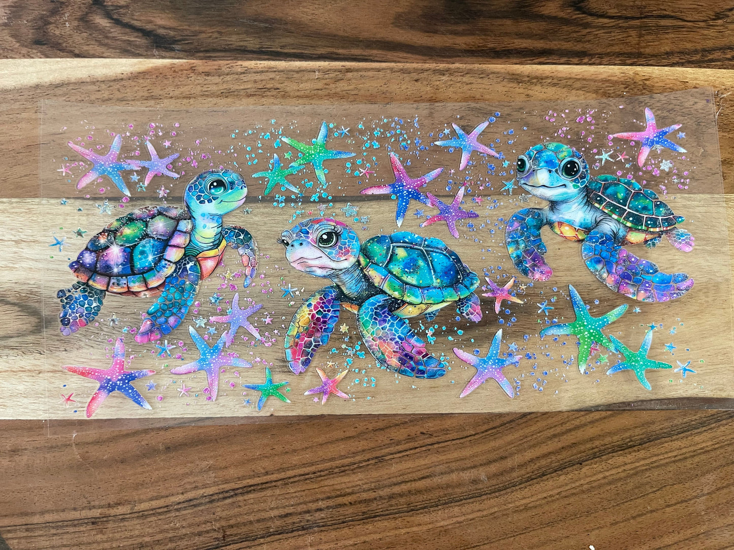 Ocean Animals