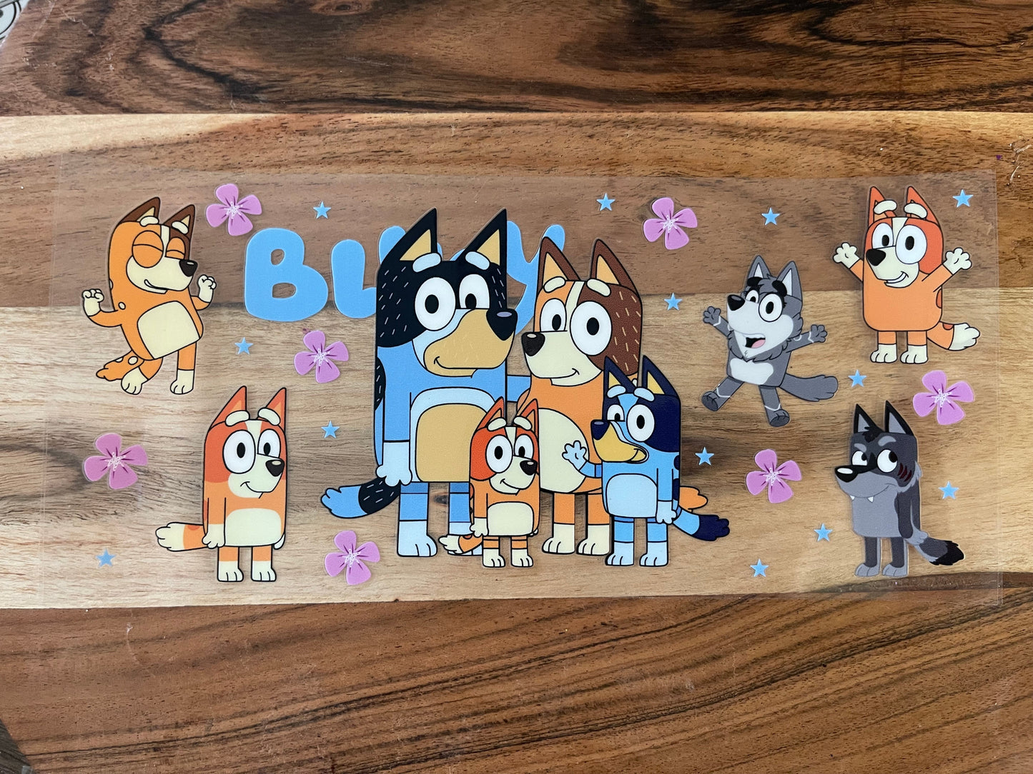 Blue Heelers