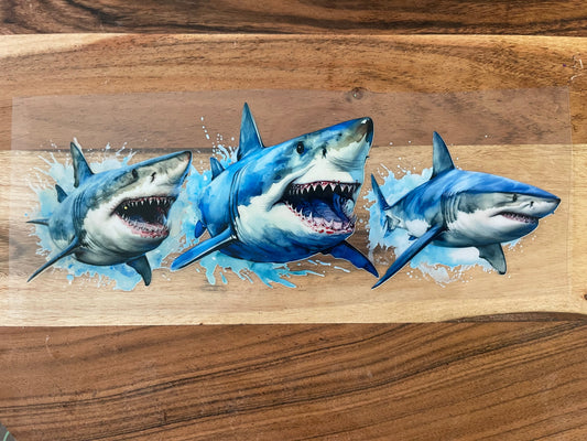 Ocean Animals