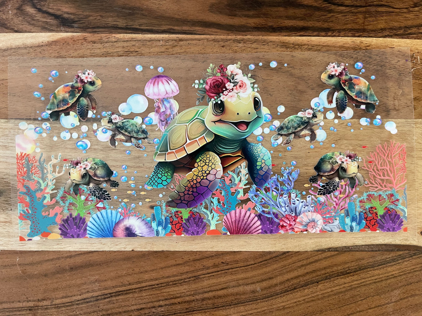 Ocean Animals