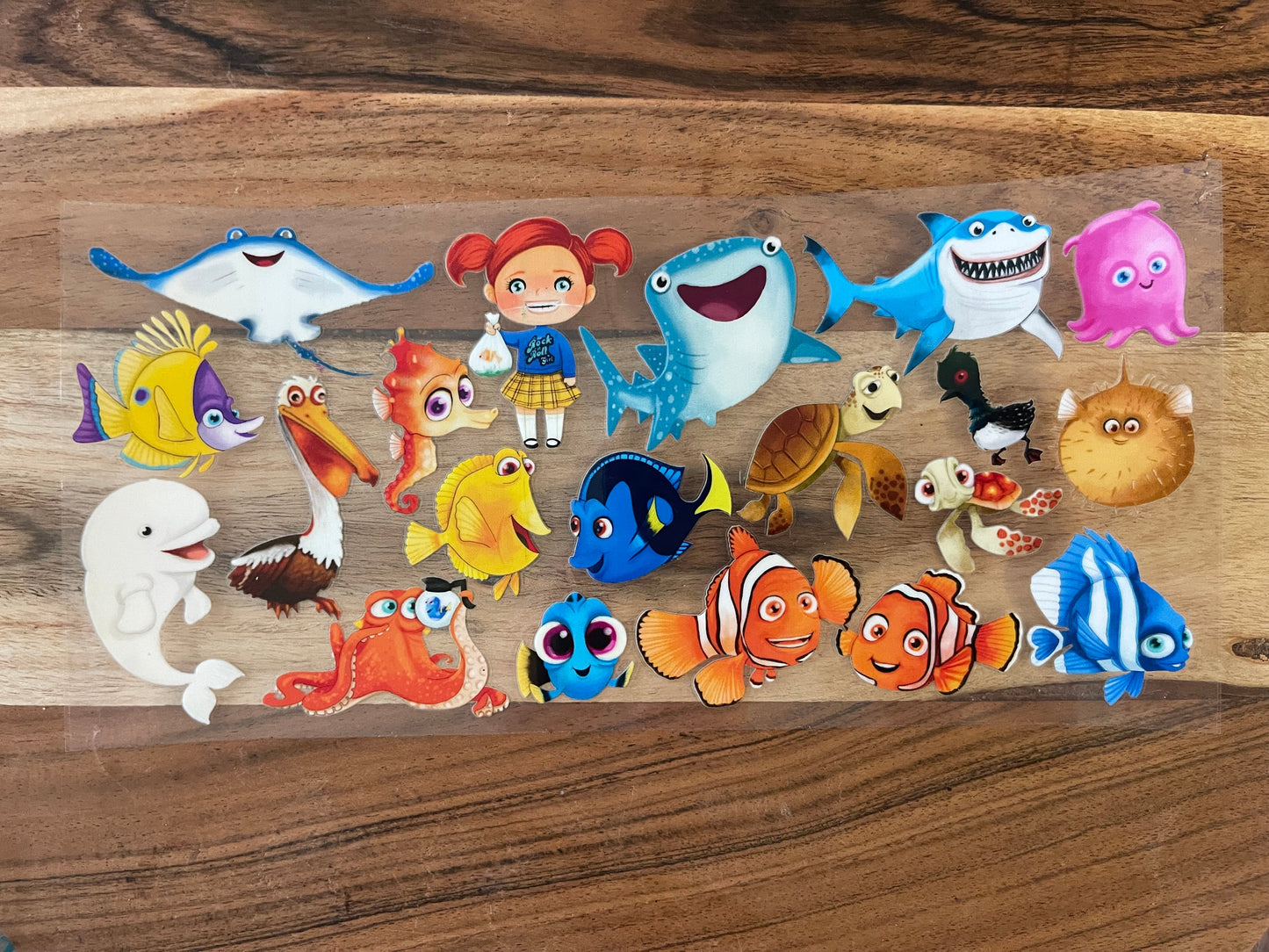 Finding Fishies
